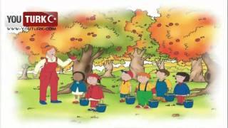 Caillou Türkce - Caillou Elma toplamaya gidiyor